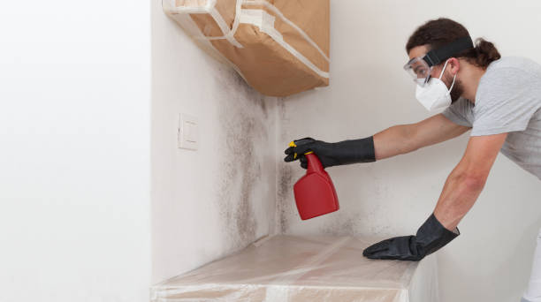 Attic Mold Remediation treatment on roof deck in Hillsdale